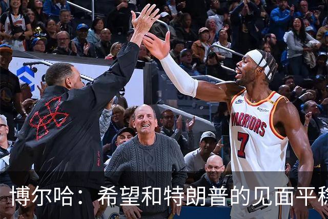 博尔哈：希望和特朗普的见面平稳渡过 我可不想他们把我扔进监狱
