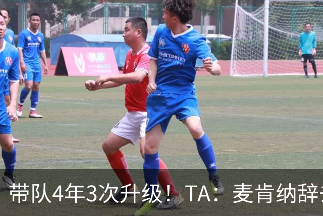 带队4年3次升级！TA：麦肯纳辞去伊普斯维奇主帅职务，暂时休息