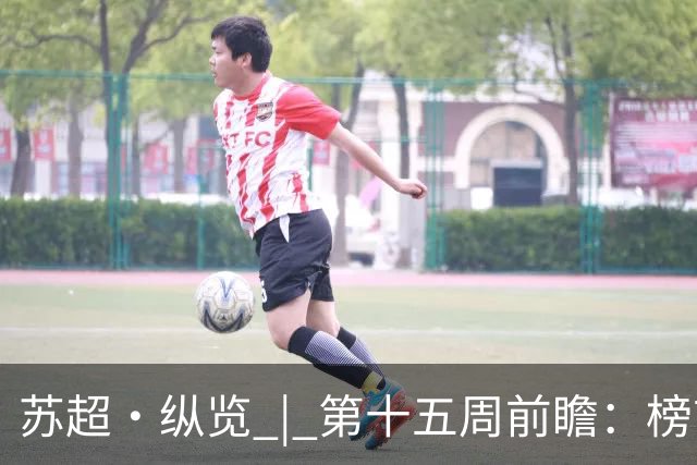 苏超·纵览 | 第十五周前瞻：榜首之位悬念再起，两位"南哥"同一种烦恼